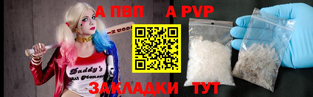 Альфа ПВП СК Сунжа