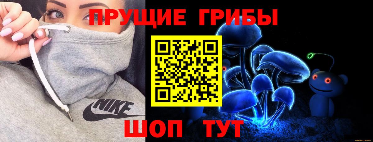 Сунжа  Псилоцибиновые грибы Psilocybe  Вход с VPN  Галлюциногенные грибы мицелий 